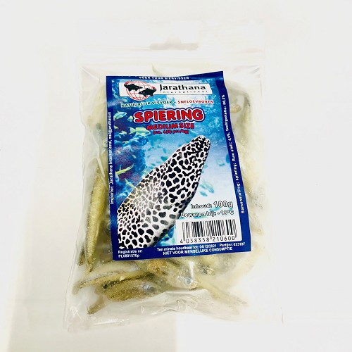 Lance fish frozen in a 100 gr bag